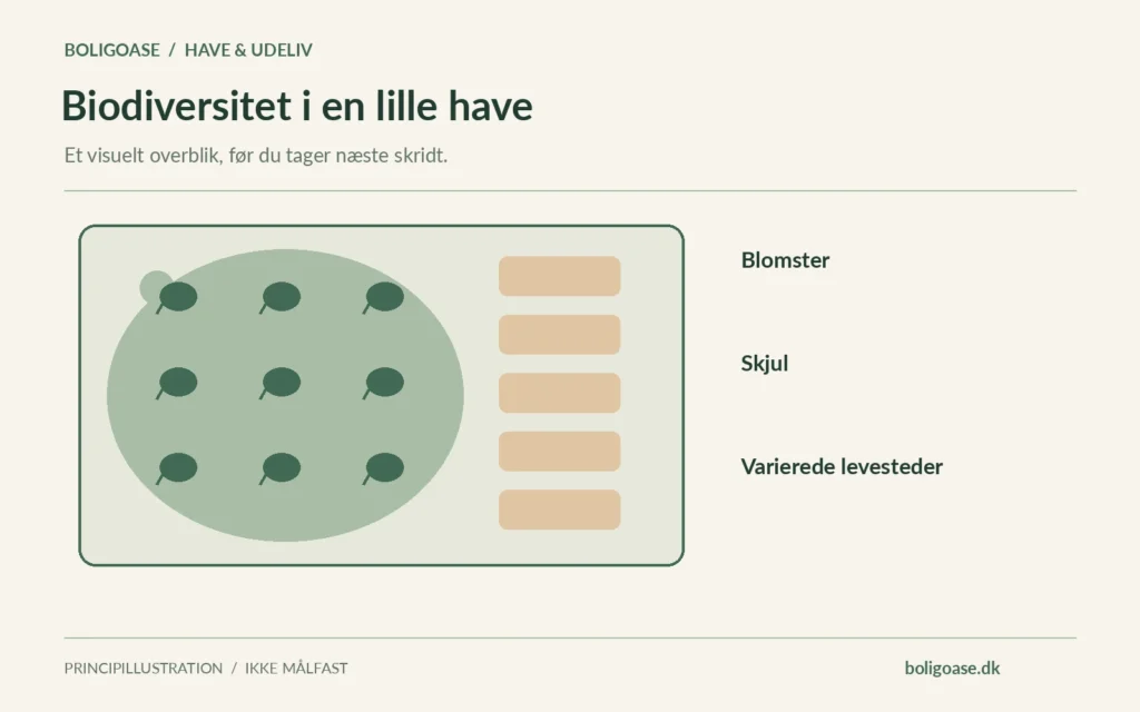 Haveplan med plantemosaik og sti og noter om Blomster, Skjul, Varierede levesteder.
