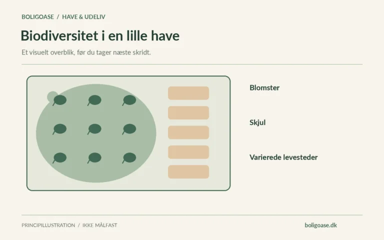 Haveplan med plantemosaik og sti og noter om Blomster, Skjul, Varierede levesteder.
