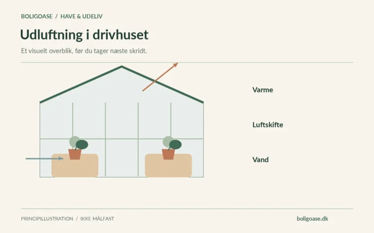 Drivhus med planter, lav indgående luft og markeret udluftning højt i rummet.