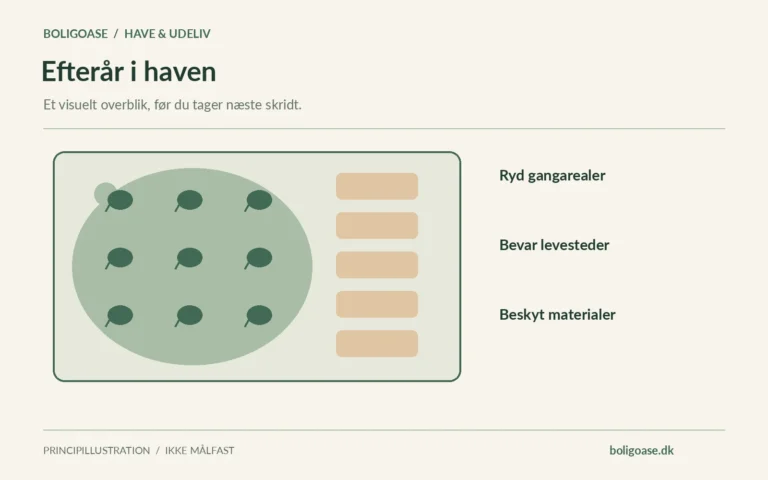 Haveplan med plantemosaik og sti og noter om Ryd gangarealer, Bevar levesteder, Beskyt materialer.