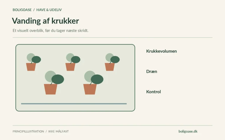 Haveplan med krukker i forskellige størrelser og noter om Krukkevolumen, Dræn, Kontrol.