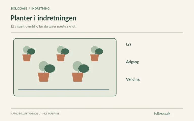 Haveplan med krukker i forskellige størrelser og noter om Lys, Adgang, Vanding.
