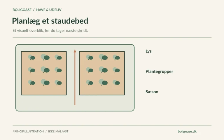 Haveplan med to bede og en passage og noter om Lys, Plantegrupper, Sæson.